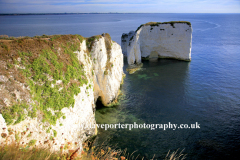 Old Harry Rocks Studland Bay, Jurassic coastline
