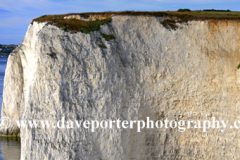 The Pinnacles Seastacks, Swanage Bay, Jurassic coast