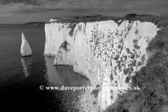 The Pinnacles Seastacks, Swanage Bay, Jurassic coast
