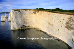 The Pinnacles Seastacks, Swanage Bay, Jurassic coast