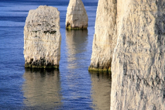 The Pinnacles Seastacks, Swanage Bay, Jurassic coast