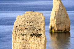 The Pinnacles Seastacks, Swanage Bay, Jurassic coast