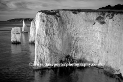 The Pinnacles Seastacks, Swanage Bay, Jurassic coast