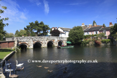 Fishing on the Royalty fishery, river Avon, Christchurch