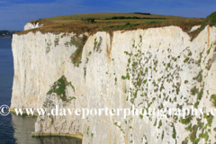 The Pinnacles Seastacks Poole Bay Jurassic coast