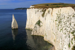 The Pinnacles Seastacks Poole Bay Jurassic coast