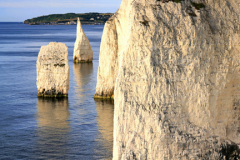 The Pinnacles Seastacks Poole Bay Jurassic coast