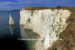 The Pinnacles Seastacks, Swanage Bay
