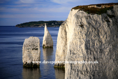 The Pinnacles Seastacks, Swanage Bay