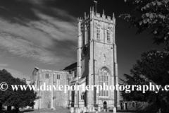 Summer view over Christchurch Priory