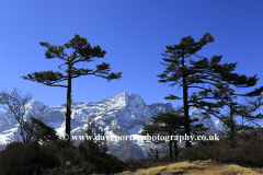 Snow, Konge mountain, Himalayas, Nepal