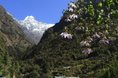 Snow, Kusum Khangkaru mountain, Himalayas, Nepal