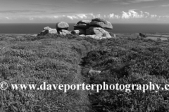 Gorse and Heather Moorland, Rosewall Hill, St Ives