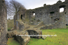 Ruins of Oakhampton Castle