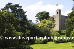 Hedingham Castle in the village of Castle Hedingham