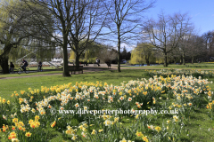 The Embankment gardens, Bedford town