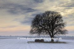 Winter Hoare frost, Fenland field, March town
