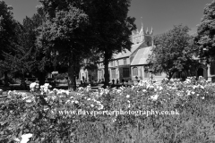 The Rose gardens at St Peters Church; Wisbech town