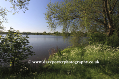 Summer view over Ferry Meadows country park