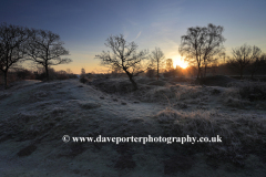Winter frosty dawn, Barnack Hills N Holes, SSSI