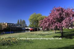 River Nene Embankment Gardens, Peterborough