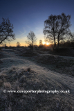 Winter frosty dawn, Barnack Hills N Holes, SSSI