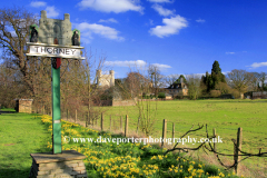 Spring Daffodils, Thorney Abbey,  Thorney village