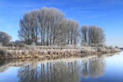 Winter scene, river Welland, Peakirk village
