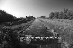 Summer Fenland Drain, Peakirk village