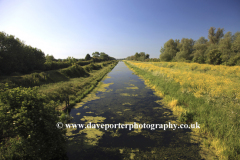 Summer Fenland Drain, Peakirk village