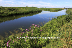 Summer; the 20 foot drain; Coates village; Fenland