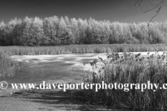 Frozen lakes at Ferry Meadows country park