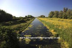 Summer, weedy Fenland Drain, Peakirk village