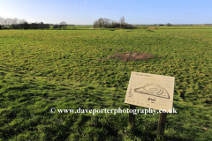 Stonea Camp, an Iron Age multivallate hill fort