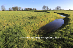 Stonea Camp, an Iron Age multivallate hill fort