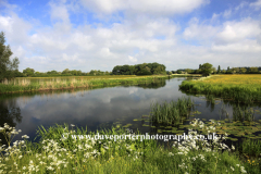 Summer, river Nene Valley near Castor village