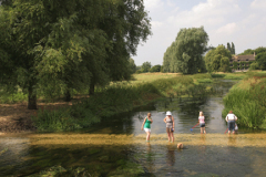 Summer, river Nene Valley near Castor village