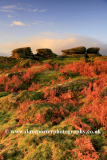 Autumn, Gritstones, Lawrence Field, Grindleford
