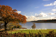 Autumn view over Ogston Reservoir