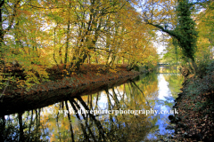 The River Derwent in Autumn Matlock Town