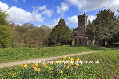 Daffodils, St Marys Church, Cromford village
