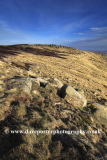 Gritstone rocks on Shelf Moor, High Peak