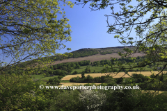 Summer view of Bamford Edge, Derwent Valley
