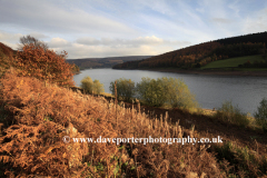 Autumn, Ladybower reservoir, Derwent Valley