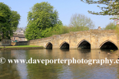 Cherry Tree Blossom, river Wye, Bakewell