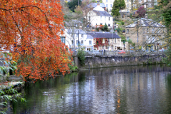 The River Derwent in Autumn Matlock Bath