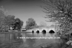 Cherry Tree Blossom, road bridge, river Wye, Bakewell