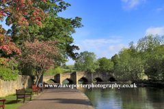 Cherry Tree Blossom, road bridge, river Wye, Bakewell