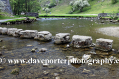 Stepping Stones at Dove Dale, river Dove