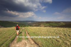 Walker on Birchinlee Pastures